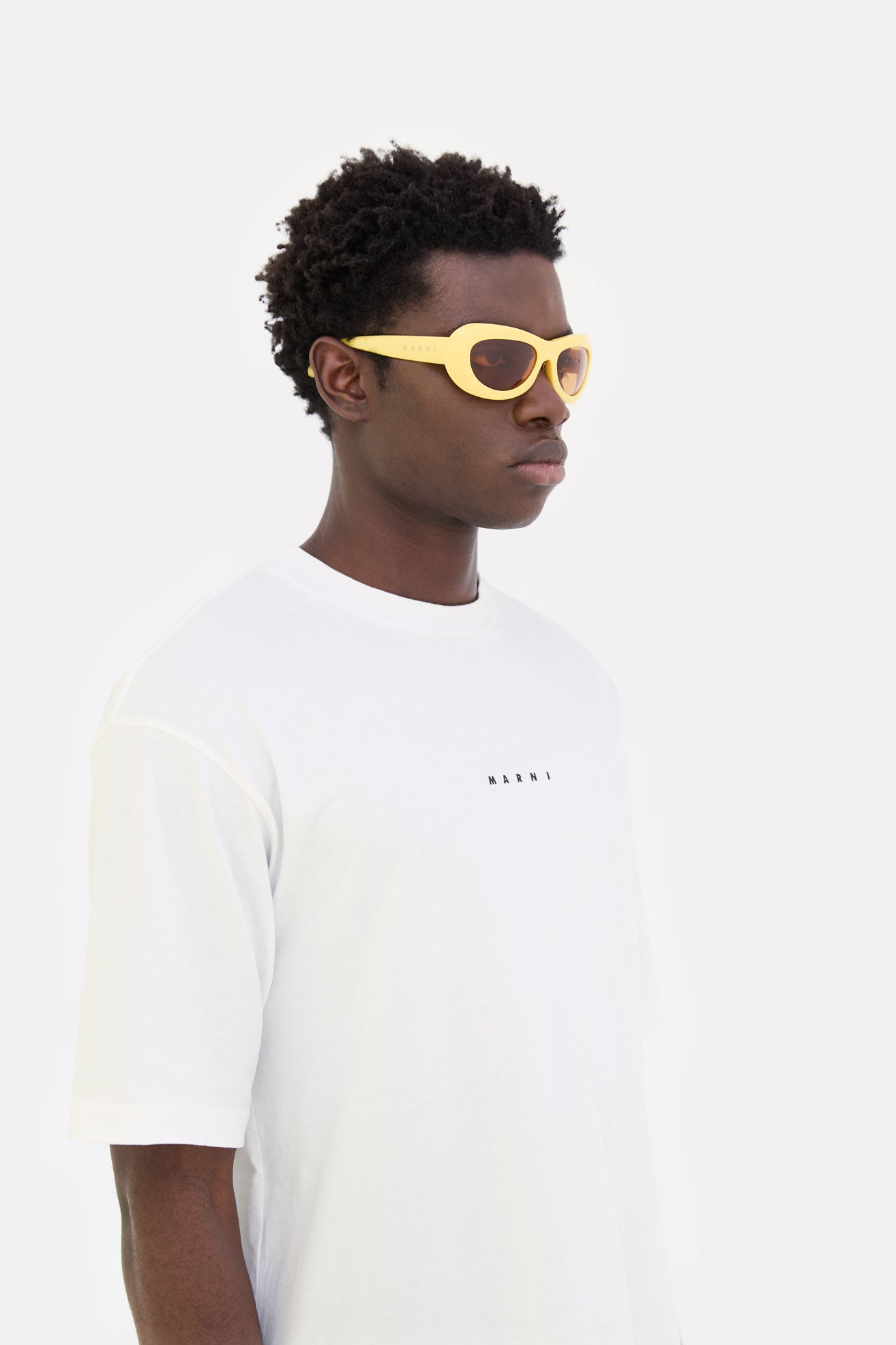 Field Of Rushes Yellow