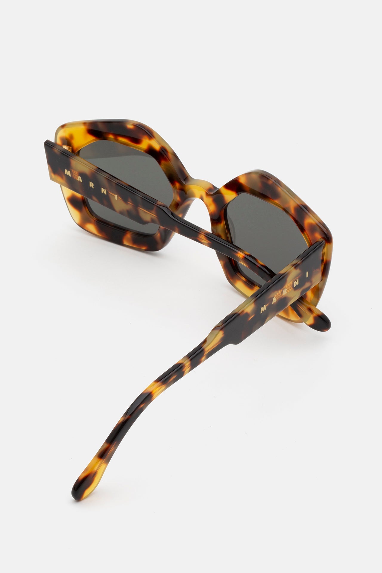 Laughing Waters Sol Leone