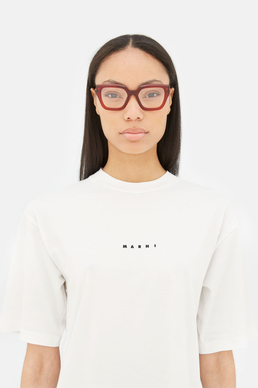 Hallerbos Forest Bordeaux