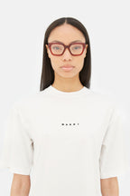 Hallerbos Forest Bordeaux