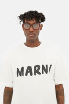 Hallerbos Forest Bordeaux