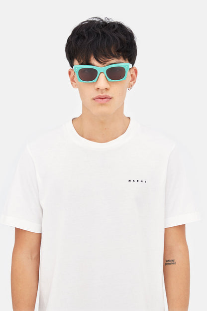 TS0  Edku Celadon6469