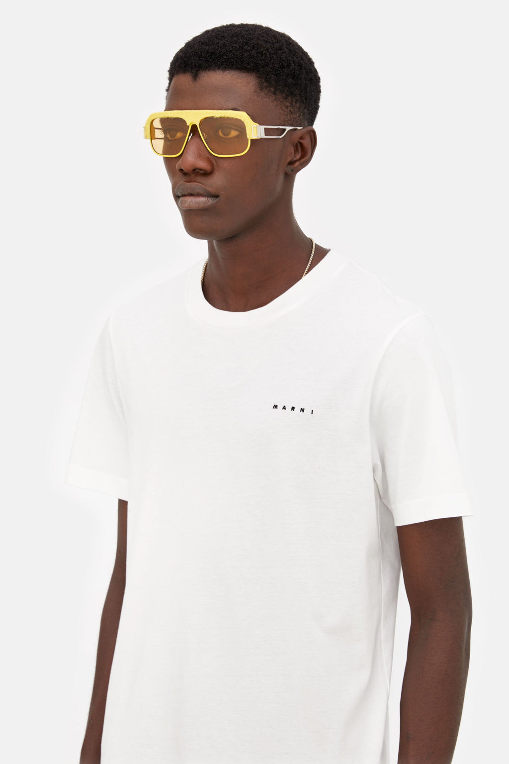 Burullus Silver Pony