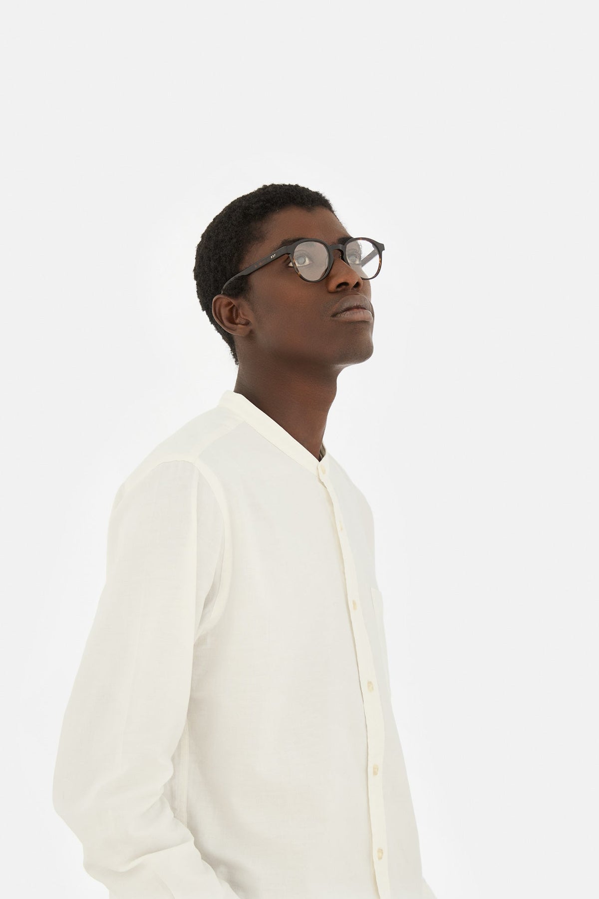 The Warhol Optical 3627 Transparent