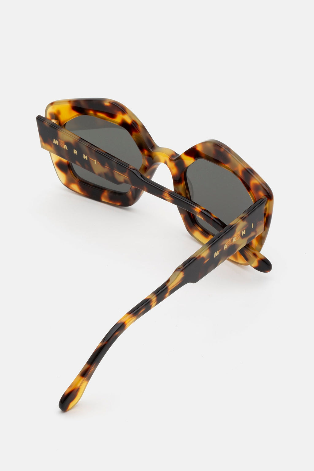 Laughing Waters Sol Leone